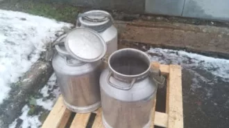 Высвобождаемое движимое военное имущество (имущество продовольственной службы). Имущество продовольственной службы 
