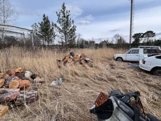 Сосна 13.27 м³, Красноярский край. Древесина породы сосна в количестве 48 чурок-13,27м3. Хранится на открытой площадке. Срублен предположительно в начале 2025 года. Находится в Красноярском крае, г. Минусинск (1217).