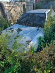 Автомобиль Mitsubishi Galant госномер У514РН124, год выпуска не установлен, по кузову следы коррозии, сколы. Находится в Канске. Документы и ключи отсутствуют. Техническое состояние не проверялось. Многочисленные следы ржавчины. Частично разукомплектован. Наложены запреты на регистрационные…