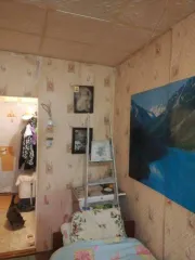 Квартира 18.8 кв.м, Иркутская область, город Усолье-Сибирское, проспект Космонавтов, дом 13, корпус 165.