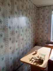 1/3 доли в жилом помещении, 51,9 кв.м, Самарская область, Красноармейский р-н, п. Чапаевский, ул. Приозерная, д. 1, кв. 16, кадастровый номер: 63:25:0101009:1460