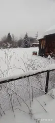 Садовый дом 11,9 м² и земельный участок 636,4 м², Красноярский край. Садовый дом, площадью 11,9 кв.м, кадастровый №24:58:0000000:37038, земельный участок, площадью 636,4 кв.м, кадастровый №24:58:03090001:80, расположенные по адресу: Красноярский край, ЗАТО Железногорск, г. Железногорск, ул. №3…