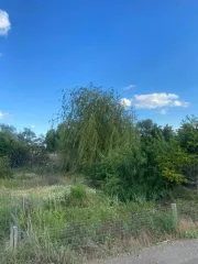 Земельный участок, площадь 1117 +/  24 кв.м., адрес  местонахождение : Волгоградская обл., Среднеахтубинский район, ДНП «Ясная поляна 2», ул. Царицынская, 16, кадастровый номер: 34:28:140010:1226, вид разрешенного использования: для ведения дачного хозяйства и дачного строительства