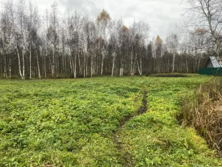 Земельный участок 1893 кв.м для ИЖС, Владимирская область, город Гусь-Хрустальный, поселок Гусевский, улица Восточная, з/у 26. Участок расположен в черте города. Земли населенных пунктов. Разрешенный вид использования: для индивидуального жилищного строительства. Основной вид разрешенного…