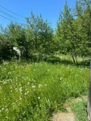 9. Здание нежилое, кад.№ 16:16:083001:1134, адрес: РТ, Высокогорский район, Высокогорское с.п., снт "Лесная Поляна", д.80, площадь 58, 2 кв.м.; земельный участок, кад.№ 16:16:083001:1099, адрес: РТ, Высокогорский район, Высокогорское с.п., снт "Лесная Поляна", д.80, площадь 781 кв.м. (105…