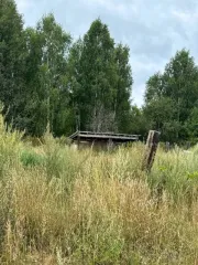 Дом 14,8 кв.м и земельный участок 15000+/-1072 кв.м в Пермском крае. Здание Кадастровый номер: 59:12:0740009:1781 Назначение объекта недвижимости: Жилое Виды разрешенного использования объекта недвижимости: данные отсутствуют Адрес: Российская Федерация, Пермский край, г.о. Чайковский, д Малый…