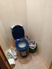 Продается 1/4 доля квартиры площадью 64,80 кв.м. по адресу: Россия, Владимирская область, Селивановский район, деревня Новлянка, улица Трудовая, дом 4, квартира 2. Кадастровый номер: 33:10:000802:949. Также продается 1/4 доля в праве аренды земельного участка площадью 2220 кв.м. (погрешность 17.0)…