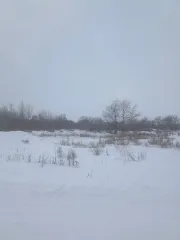 Земельный участок из состава земель населенных пунктов  с кадастровым номером 55:36:030117:1026 Местоположение земельного участка: Местоположение установлено относительно ориентира, расположенного за пределами участка. Ориентир здание. Участок находится примерно в 850 м, по направлению на…