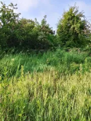 Земельный участок 446 кв.м Челябинская область, площадь 446 кв.м, адрес Российская Федерация, Челябинская область, городской округ Копейский, город Копейск, территория СНТ Кировец, земельный участок 1187, категория земель Земли населенных пунктов, разрешенное использование Для садоводства…