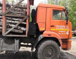 КАМАЗ-43118, автомобиль сортиментовоз с КМУ, 2017 года выпуска, регистрационный номер Е739АУ196, идентификационный номер (VIN): Z9L780642H0000030