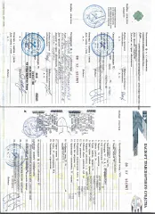Mazda 3 2008, VIN: JMZBK12Z201804393, Год выпуска: 2008, гос.номер О645ОТ159 (ДВС, установленный на автомобиль не отражен в ПТС, в ПТС указан иной двигатель)