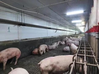 Право аренды на земельный участок, находящегося в залоге у «УМ-Банк» (ООО) в лице Конкурсного управляющего Государственной корпорации «Агентство по страхованию вкладов»;
Право аренды земельного участка. Категория земель: земли сельскохозяйственного назначения. Вид разрешенного использования: для…