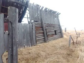 Дом и земельный участок, 1/4 доли, Иркутская область. 1/4 доля дома и 1/4 доля земельного участка в Иркутской обл. Еще 1/4 доля дома и 1/4 доля земельного участка в Иркутской обл. Еще 1/4 доля в здании, площадь 36.2 кв.м., назначение: жилое, количество этажей: 1, адрес (местонахождение): Россия…