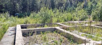 Земельный участок площадью 556 ± 17 кв. м, кадастровый номер 60:15:3028005:121. Местоположение установлено относительно ориентира, расположенного в границах участка. Почтовый адрес ориентира: Псковская область, Печорский р-н, «Крупская волость», в 1,2 км юго-западнее от д. Кривск. Категория земель…