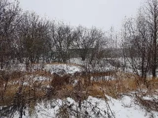 Земельный участок, кадастровый номер 50:16:0602003:642, площадь 10 200 кв. м., категория земель: земли населенных пунктов, вид разрешенного использования: размещение железнодорожного пути, расположенный по адресу: Московская область, Ногинский район, городское поселение Старая Купавна, г. Старая…