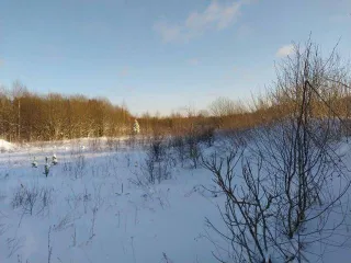 Земельный участок, 370086 +/- 213 кв.м, кадастровый 18:08:006001:1001, Удмуртская Республика, Завьяловский район.