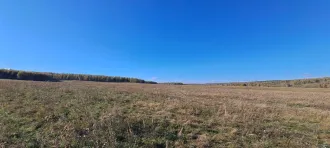 Земельный участок, 2 284 572 кв.м, Республика Башкортостан, Баймакский район, 1/30 доли. Земельный участок для возделывания сельскохозяйственных культур. Кадастровый номер: 02:06:070202:319. Местоположение установлено относительно ориентира, расположенного в границах участка. Почтовый адрес…