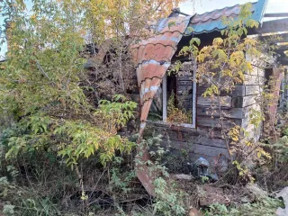 1/3 доля земельного участка площадью 2559 кв.м. Адрес: Российская Федерация, Красноярский край, Иланский район, сельское поселение Новогородский сельсовет, село Новогородка, улица Молодежная, дом 8, квартира 2. Кадастровый номер: 24:15:1901002:473. Вид собственности: долевая (1/3).