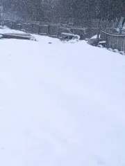 Здание 20 кв.м и земельный участок 908 кв.м в Пермском крае. Земельный участок: категория земель - земли сельскохозяйственного назначения, разрешенное использование - для ведения садоводства, площадь 908 +/- 10 кв.м, местоположение - Пермский край, м.о. Соликамский, садовое товарищество Сад № 5…