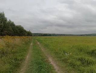 Земельный участок 187 140 кв. м, Московская обл., Серпуховский р-н, в районе д. Семеновское, кадастровый номер 50:32:0080112:48, земли с/х назначения - для дачного строительства, ограничения и обременения: ограничения прав на земельный участок, предусмотренные статьей 56 Земельного кодекса РФ.