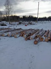 Бревна ель сосна 6,6142 м³. Годные остатки (топливный материал) - бревна деревьев породы ель, сосна (не ошкуренные), общий объем 6,6142 куб. м. (11-008341, поручение 46/12976). Детальная информация об имуществе представлена в информационном сообщении.