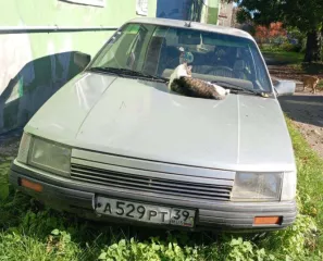 Автомобиль легковой, марка: Renault, модель: 25, VIN: VF1B29705G0510354, гос. рег. номер: А529РТ39, год изготовления: 1986