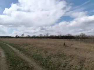Земельный участок, площадью 746+/-10 кв.м., кадастровый номер 19:01:130501:1073, расположенный по адресу: РОССИЯ, Республика Хакасия, городской округ город Абакан, город Абакан, Территория СОСН Колягинские холмы-Колягино-1, улица Пихтовая, земельный участок 23А.