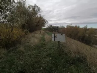 Право аренды земельного участка с кадастровым номером 64:19:080104:18 площадью 160 271 кв. м, расположенного по адресу: Саратовская область, Лысогорский район, в 1 км 375 м севернее села Чадаевка.