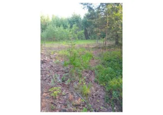 Земельный участок 1450 кв.м, ХМАО-Югра, г. Югорск. Земельный участок в ХМАО-Югра, 1450 кв.м. Еще земельный участок в ХМАО-Югра, 1450 кв.м. Площадь: 1 450 кв.м., адрес (местонахождение): Ханты-Мансийский автономный округ - Югра, г. Югорск, ул. Малиновая, категория земель: земли сельскохозяйственного…