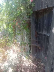 1/3 доля в праве на жилое здание площадью 38,5 кв.м, кадастровый номер 64:38:220105:49 (ветхое) и 1/3 доля в праве на земельный участок площадью 661 кв.м, категория земель: земли населенных пунктов, разрешенное использование: для ведения личного подсобного хозяйства, кадастровый номер…
