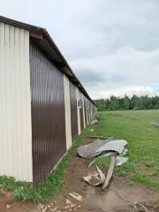 Коровник 1344 кв.м Республика Татарстан Коровник на 150 голов (строительные материалы, собранные в конструкцию) Коровник на 150 голов (строительные материалы, собранные в конструкцию, Год постройки – 2020, общая площадь 1344 кв.м., строительный объем 6615 куб.м., Расположен по адресу: Республика…