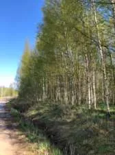 Земельный участок, 76:09:093401:2343, Ярославская обл., Некрасовский р-н, с/о Климовский, 1534 +/-27 кв.м.