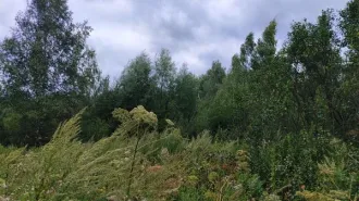 Земельный участок 865 м², КН 50:28:0110318:1234, Московская область. Площадь земельного участка: 865. Кадастровый номер: 50:28:0110318:1234. Основной вид разрешенного использования: 2.2