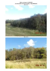 Земельный участок 805 кв.м, Ивановская область, город Иваново. Кадастровый номер 37:24:020729:162. Вид разрешенного использования: для индивидуального жилищного строительства (код вида 2.1).