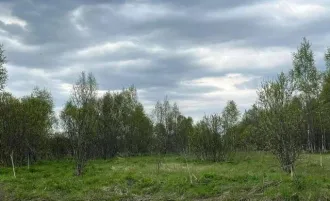 Земельный участок, 890 кв.м, Московская область, расположенный по адресу: Россия, Московская область, город Можайск, деревня Никитино, кадастровым номером: 50:18:0050115:2741, площадью 890 кв.м, находится в залоге в ПАО "Sberbank". Земли сельхозназначения, для ведения дачного строительства.