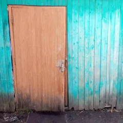 Жилое помещение с кадастровым номером 55:03:010105:259, местоположение: Омская область, Большеуковский р-н, с. Аев, ул. Дружбы, д. 5, кв. 2, площадь 53,90 кв. м., доля в праве 1/3; земельный участок с кадастровым номером 55:03:010105:87, для ведения личного подсобного хозяйства, местоположение…