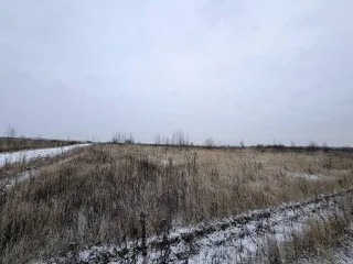 Земельный участок 600 кв.м в Московской области, городской округ Раменский, деревня Аргуново. Кадастровый номер: 50:23:0050573:1513. Площадь: 600 +/- 17 кв.м. Категория земель: сельскохозяйственного назначения. Вид разрешенного использования: для ведения садоводства.