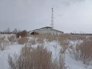 Объекты недвижимого имущества, расположенные на земельном участке площадью 27480 кв.м. с кадастровым номером 45:07:030502:228: здание свинарника, назначение: нежилое, кадастровый номер 45:07:030502:213, площадью 1353,8 кв.м., количество этаже 1  здание свинарника, назначение: нежилое, кадастровый…