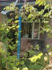 Дом 25,7 кв.м и участок 714 кв.м, Саратовская область, Красноармейск 1/2 доля дома и 1/2 доля земельного участка в Саратовской обл. еще 1/2 доля дома и 1/2 доля земельного участка в Саратовской обл. еще 1/2 доля в праве на жилое здание, площадь: 25,7кв.м., кадастровый номер: 64:43:030150:34 и 1/2…