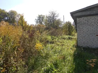 Здание овощехранилища на 200 тонн площадью 231,4 кв.м, кадастровый номер 40:24:070601:217, расположенное по адресу: Калужская область, муниципальный округ Юхновский, село Санатория Павлищев Бор, улица Сосновая, дом 7 Год ввода в эксплуатацию: 1957 Количество подземных этажей : 0 Общая площадь…