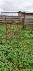 Охладитель молока, раб. объем 1000 л. Ознакомиться с характеристиками предмета торгов, правоустанавливающими документами, проектом договора купли-продажи, др. документами можно с 10.08.2026г. до 11.09.2026г. включительно с 09 до 11 часов по адресу: г. Екатеринбург, ул. Механизаторов,58…