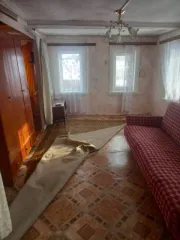 Жилой дом и земельные участки по адресу: Оренбургская область, Шарлыкский район, село Ратчино, улица Советская, дом 33. Площадь дома 36.2 кв. м. Площадь первого земельного участка 1154 кв. м, площадь второго земельного участка 1601 кв. м. Общая площадь земельных участков 2755 кв. м. Вид…