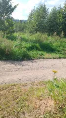 Здание 8 кв.м и земельный участок 800 кв.м в Калужской области, Боровский район, деревня Шемякино. Участок для ведения личного подсобного хозяйства, площадь 800 +/-12 кв.м, кадастровый номер 40:03:050801:578. Нежилое здание площадью 8 кв. м, кадастровый номер 40:03:050801:779. Доля в праве…