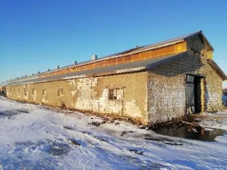 Административное здание, архив, весовая 1, весовая 2, ЗАВ-20, зерносклад из ДГР-18, зерносклад у ЗАВ-20, картофелехранилище, материальный склад, ПТО для К-700, семяочистительная колонка, семяочистительная линия, склад 8, склад 9, склад 10, склад 11, склад 12, склад 13, склад активного…