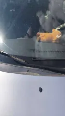 Lada Granta 2016 года, 106,1 лс, 250000 км, VIN: Z9Z219178H0980443, г/н: М775ХУ22