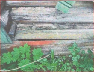 Земельный участок 894 кв.м, дом 50,3 кв.м, Ивановская область 2/5 доли в праве общей долевой собственности на земельный участок, кадастровый номер 37:09:050412:1, вид разрешенного использования: Для индивидуального строительства, площадь 894 кв.м., и 11/15 доли в праве общей долевой собственности в…