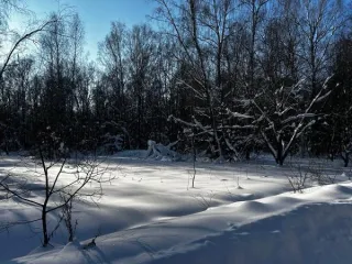 Аукцион в отношении земельного участка с КН 50:33:0010202:673 Аукцион в отношении земельного участка с КН 50:33:0010202:673 
Площадь земельного участка: 1392 
Кадастровый номер земельного участка: 50:33:0010202:673 
Основной вид разрешенного использования: 2.2 
