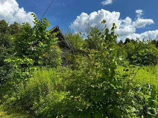 Земельный участок 490 кв. м и строение 16 кв. м в Удмуртской Республике. Категория земель: земли сельскохозяйственного назначения, разрешенное использование: для ведения гражданами садоводства и огородничества, для садоводства. Общая площадь участка 490 кв. м, адрес: Удмуртская Республика…