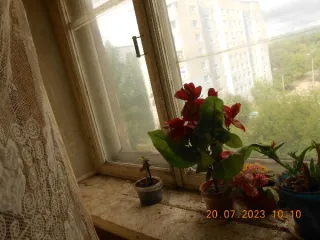 Квартира-комната, г. Ковров, ул. Островского, 57/1, кв.69, 12.7 кв.м., Владимирская обл. Год ввода в эксплуатацию: 2011, кадастровый номер объекта недвижимости (здания, сооружения), в пределах которого расположено помещение: 33:20:014007:23, общая площадь: 12.7, расположение в пределах объекта…