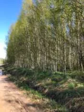 Земельный участок, 76:09:093401:2330, Ярославская обл., Некрасовский р-н, с/о Климовский, д. Климовское, тер с/х земля Климовское, 1940 +/-31 кв.м.